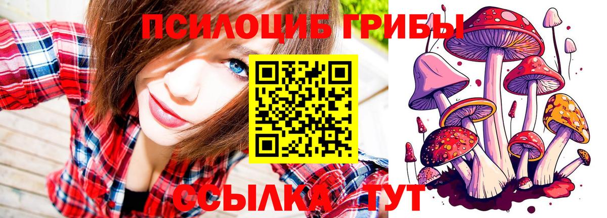 Асино  Псилоцибиновые грибы Cubensis  Вход с VPN  Псилоцибиновые грибы прущие грибы 