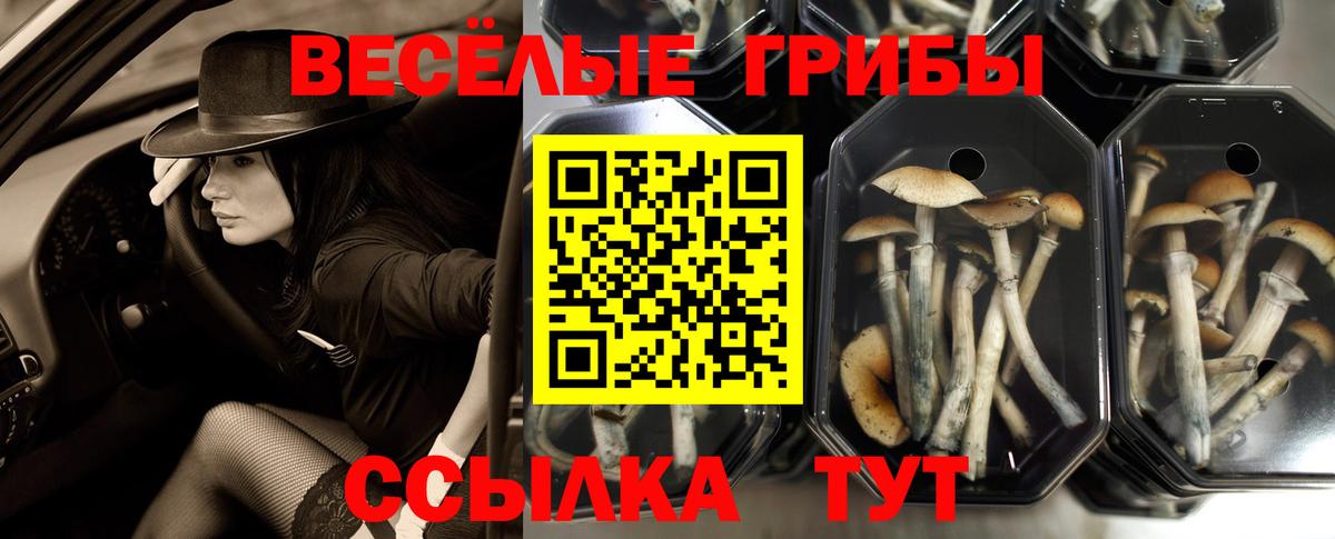 Псилоцибиновые грибы Magic Shrooms Асино